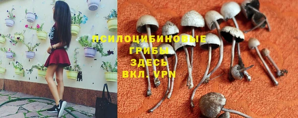 spice Корсаков