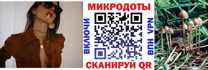 Псилоцибиновые грибы GOLDEN TEACHER  Купить закладки  Электроугли 